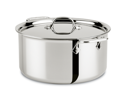 All-Clad  Stockpot with Lid