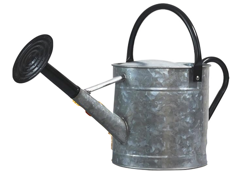 Watering Can